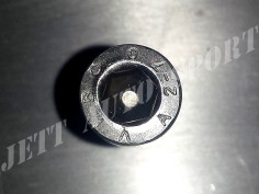 Vis BTR Inox M6X30