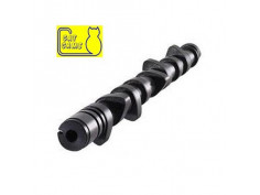 Arbre à Cames Catcams 230 R5 Alpine Turbo
