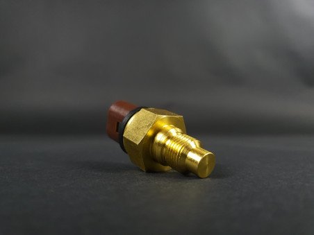 Sonde de Température d'Eau Clio 16s / Williams / R19 16s (marron) - 77 00 810 879