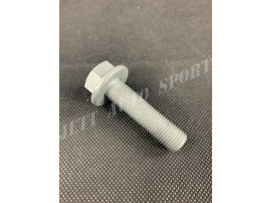 Vis de Fixation Poulie de Vilebrequin Clio 16s / Williams - 82 00 689 705 - 8200689705