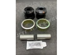 Silent Blocs Arrières de Bras de Suspension Powerflex Black Series Megane 2 RS (x2) - PFF60-502BLK