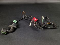 Faisceau Electrique de Portière d'Occasion Clio 16s