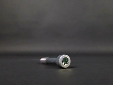 Vis Galet Tendeur de Courroie d'Accessoires Clio 4 RS